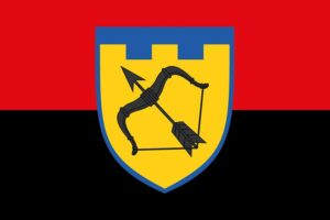 prapor zsu 113 obrtro okrema bryhada terytorialnoi oborony chervono chornyi jpg