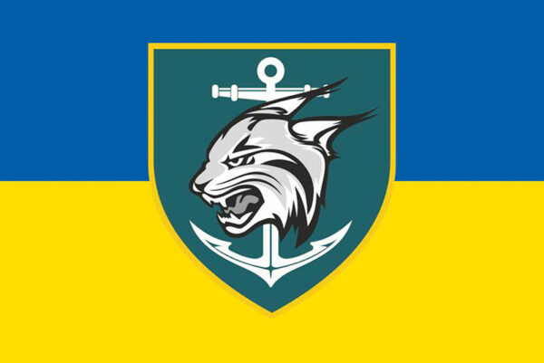 prapor zsu 137 obmp okremoho bataliona morskoi pikhoty syno zhovtyi jpg