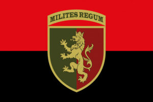 prapor zsu 24 ombr imeni korolia danyla chervono chornyi jpg