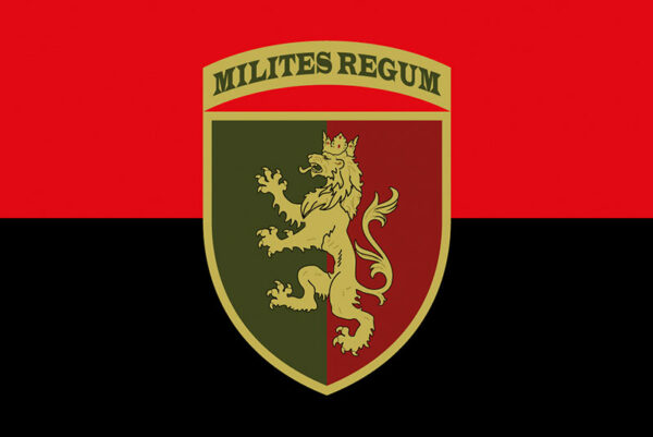 prapor zsu 24 ombr imeni korolia danyla chervono chornyi jpg prapor zsu 24 ombr imeni korolia danyla chervono chornyi jpg