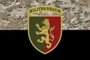 prapor zsu 24 ombr imeni korolia danyla kamufliazh chornyi jpg