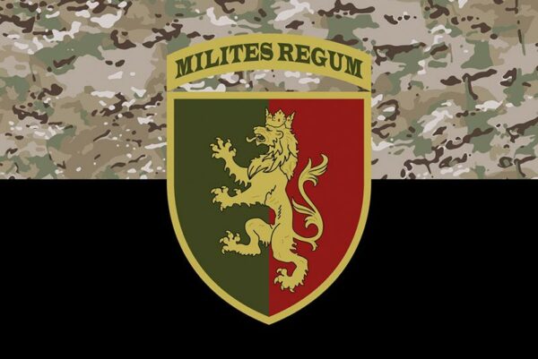 prapor zsu 24 ombr imeni korolia danyla kamufliazh chornyi jpg