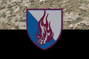 prapor zsu 45 odshbr okrema desantno shturmova bryhada kamufliazh chornyi jpg