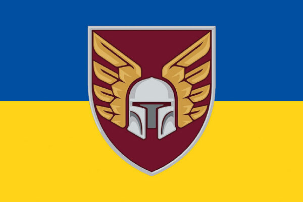 prapor zsu dshv 46 oaembr okrema aeromobilna bryhada syno zhovtyi jpg