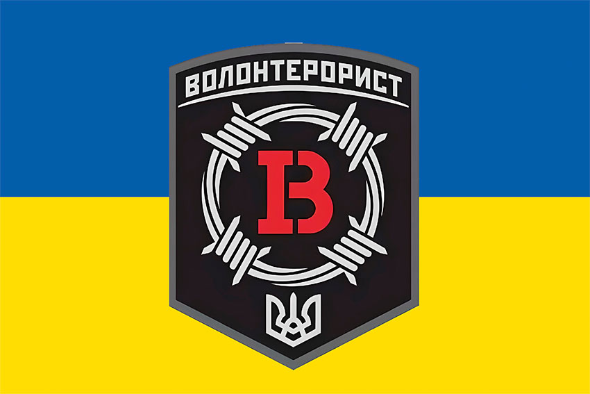 volonteroryst zhovto synii 1 jpg